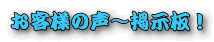 ���q�l�̐��`�f���I