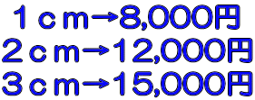 1cm→8,000円 2cm→12,000円 3cm→15,000円